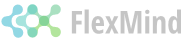 FlexMind. Systemy informatyczne